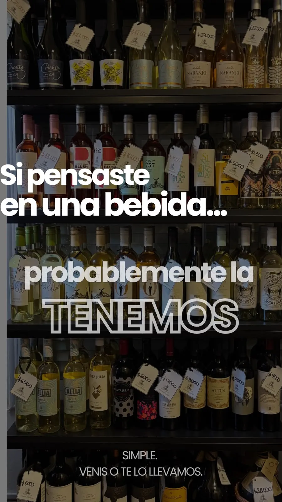 El Punto galería